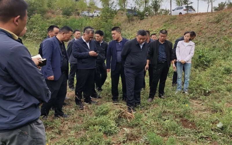 天水市政協(xié)副主席、清水縣委書記馬越垠到“榮程百草莊園”中藥材試驗基地調(diào)研中草藥產(chǎn)業(yè)發(fā)展工作