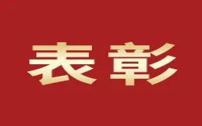奮進2023，這些集體和個人無上“榮”光